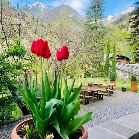 Tannerhof Bed & Breakfast Caines Dış mekan fotoğraf