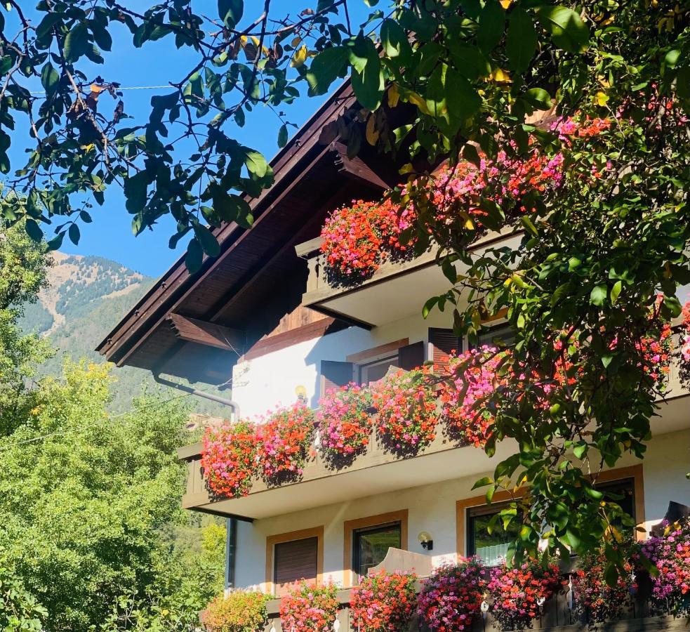 Tannerhof Bed & Breakfast Caines Dış mekan fotoğraf