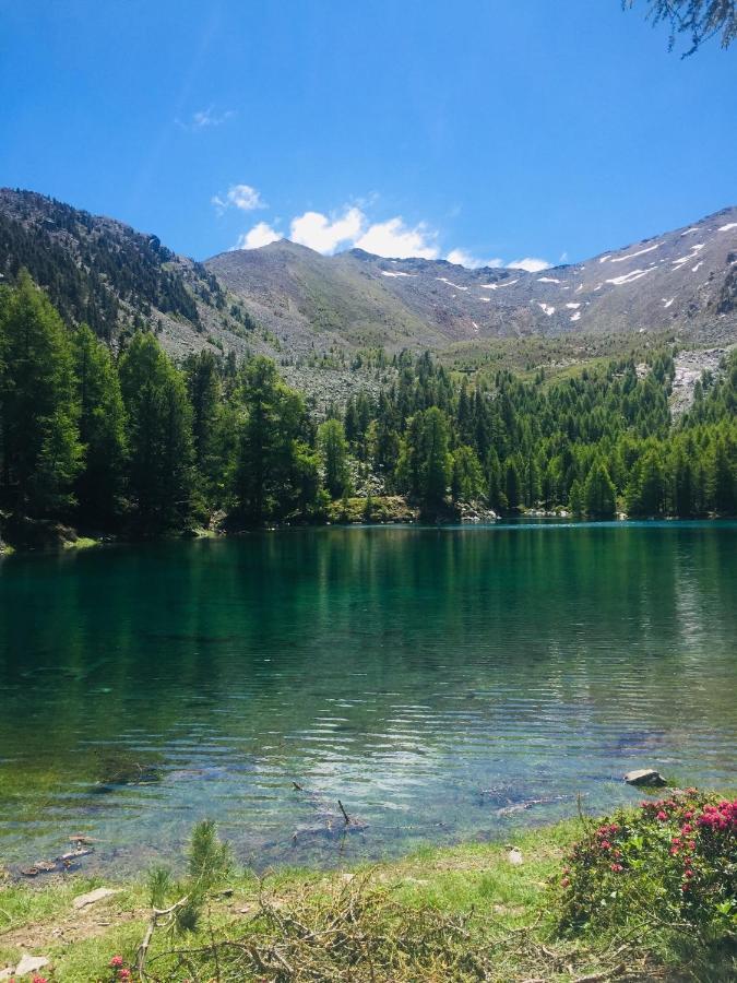 Tannerhof Bed & Breakfast Caines Dış mekan fotoğraf
