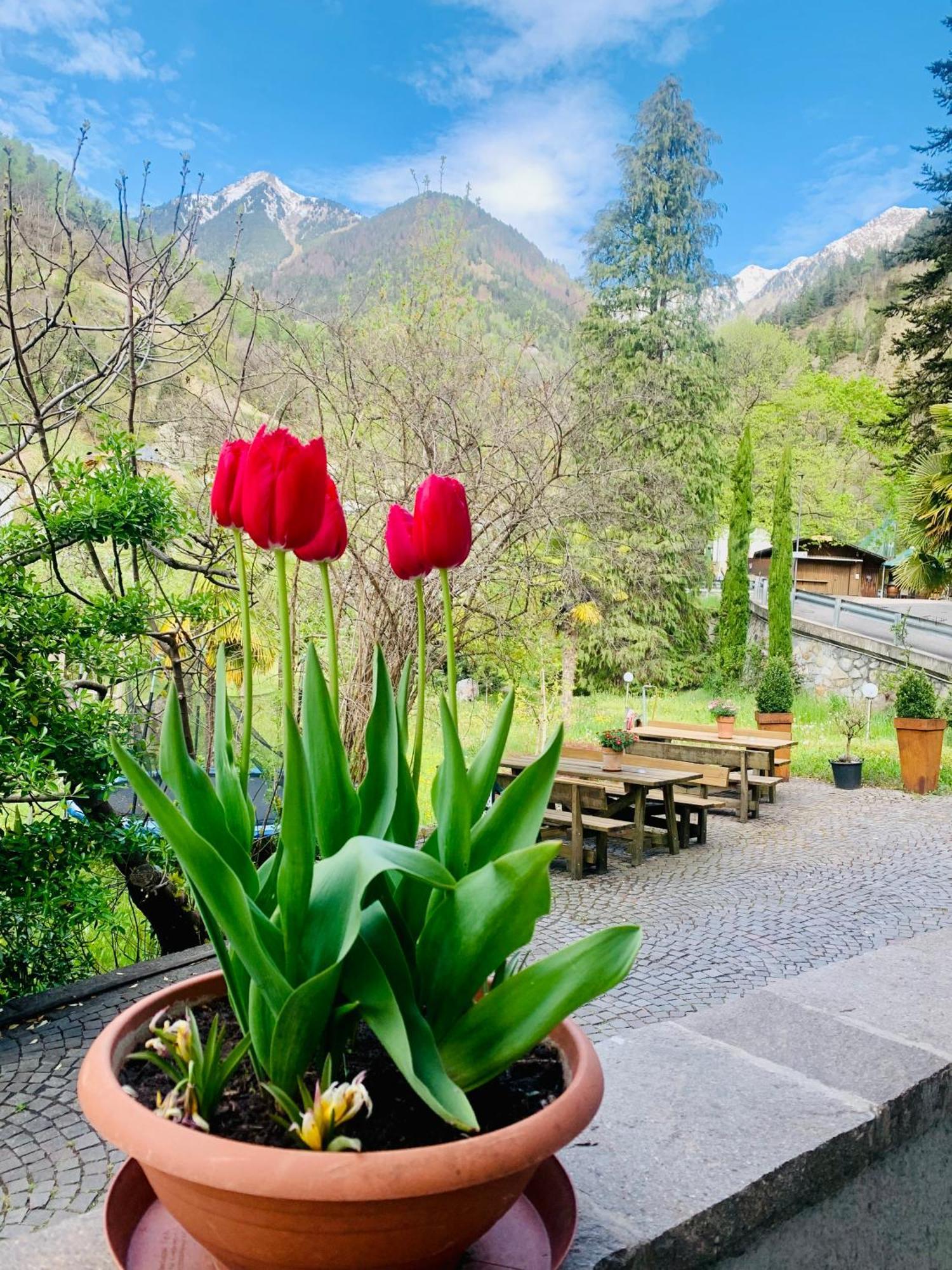 Tannerhof Bed & Breakfast Caines Dış mekan fotoğraf