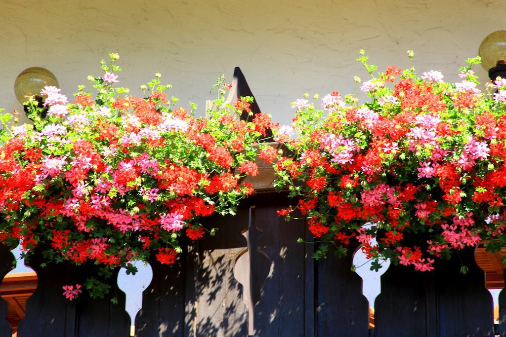 Tannerhof Bed & Breakfast Caines Dış mekan fotoğraf